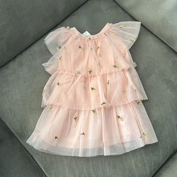 ZARA Kids | Beige-Pink | FLORAL EMBROIDERED TULLE DRESS - Picture 6 of 6